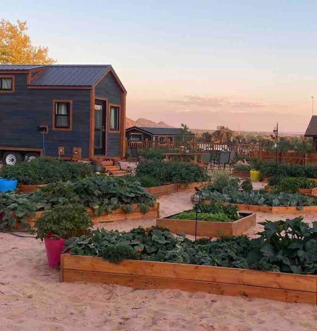 Atlantis Garden Tiny Home Hildale 外观 照片